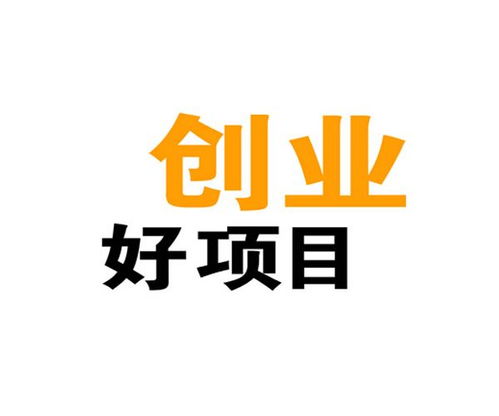 構建可持續發展的互聯網法律咨詢創業項目 機遇、挑戰與策略